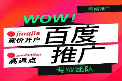 SEM外包在提高搜索引擎排名中的应用案例